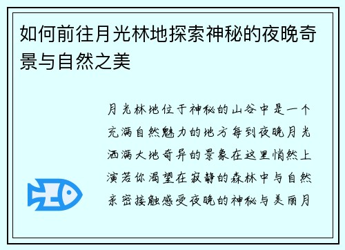 如何前往月光林地探索神秘的夜晚奇景与自然之美